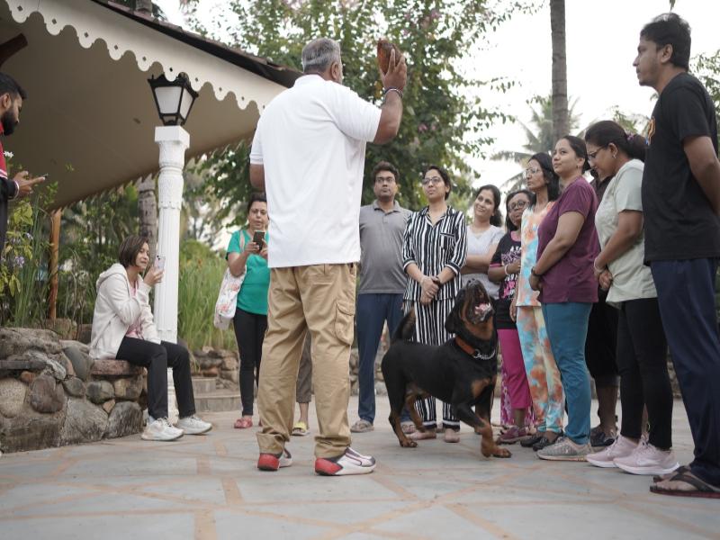 Training on How to Overcome Dog Phobia